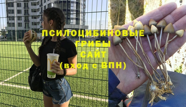 спайс Абаза