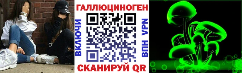 Псилоцибиновые грибы Psilocybe  Назрань 