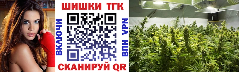 Бошки Шишки семена  Назрань 